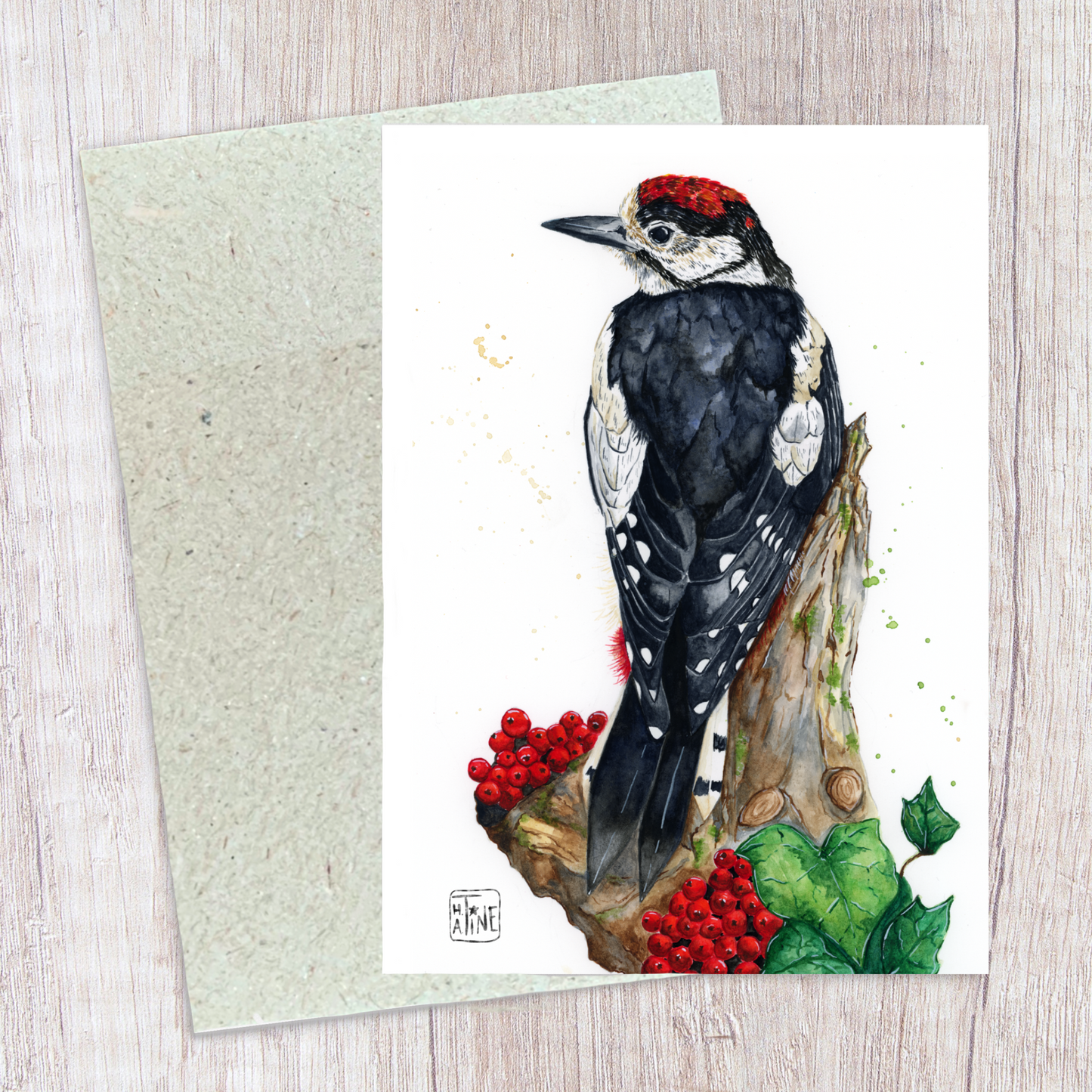 Great spotted woodpecker  // Stor flagspætte