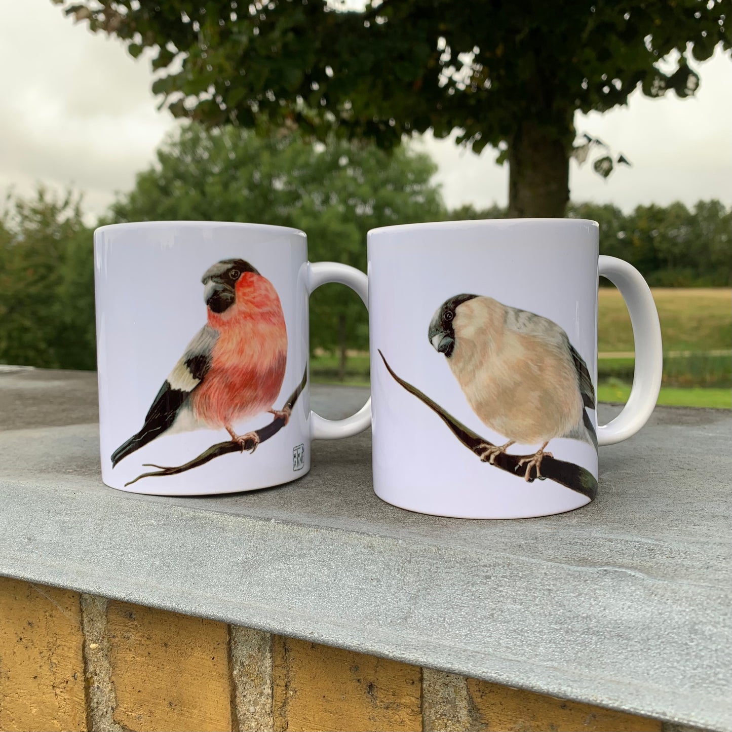Dompap krus // Bullfinch mug