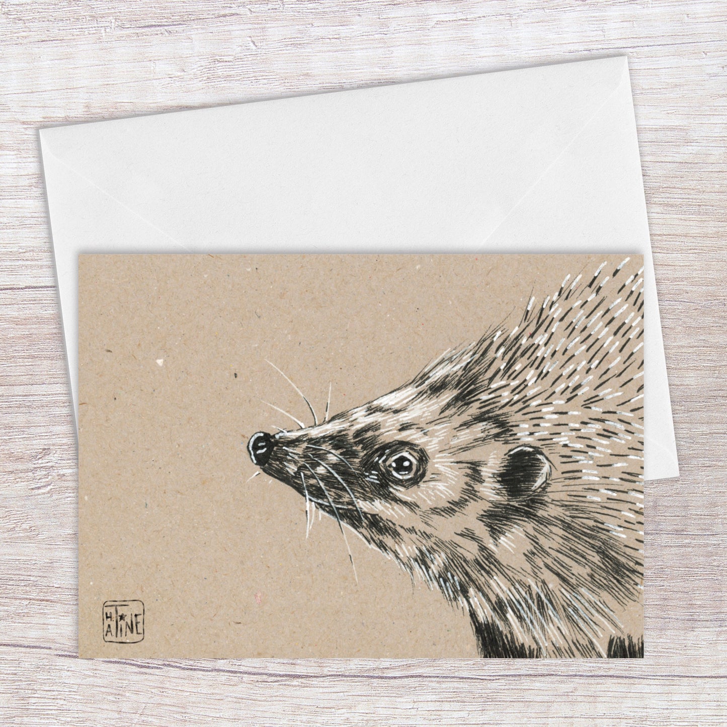 Pindsvin // European hedgehog